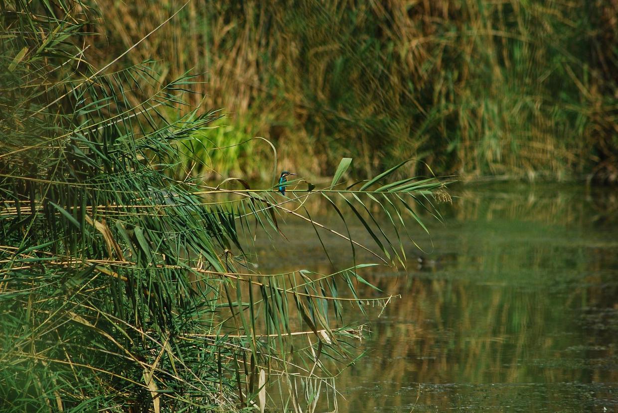 Nazzano Tevere-Farfa